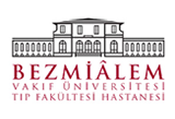 Bezmialem